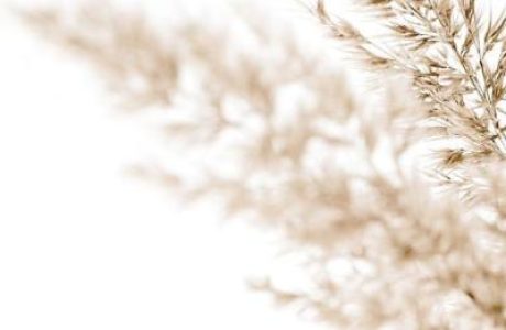 Низкая самооценка – помощь психолога онлайн