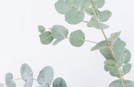 Страх принятия решений