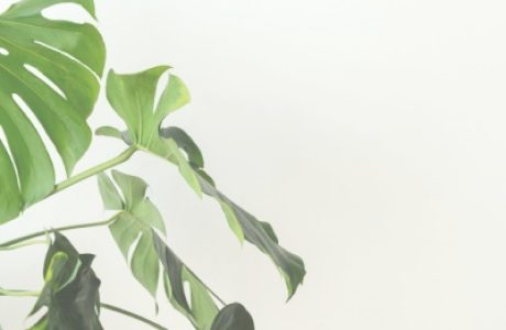 Эмоциональное восстановление и забота о себе