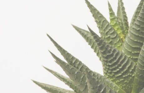 Семейная терапия: семейные и детско-родительские отношения