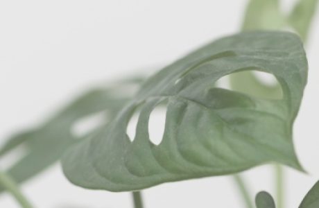 Личностное развитие и самореализация